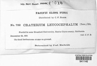 Image Associated With the Occurence